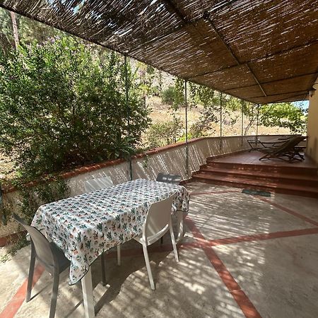 La Pineta Al Mare Apartment Erice Bagian luar foto