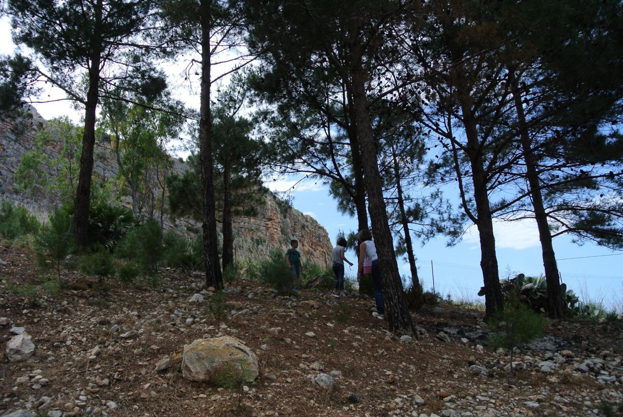 La Pineta Al Mare Apartment Erice Bagian luar foto